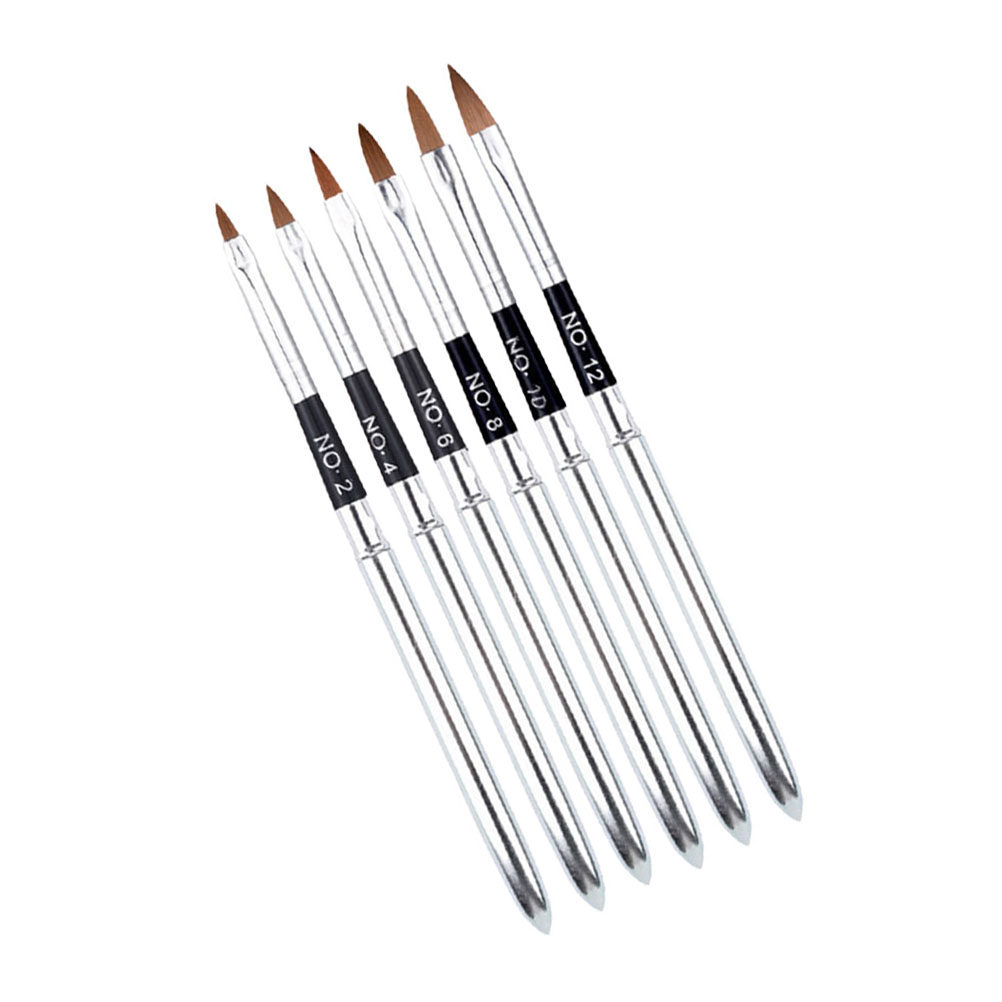 6Pcs Professional Nail Art Bru – Brush Bristle Set Bewertung und Preis